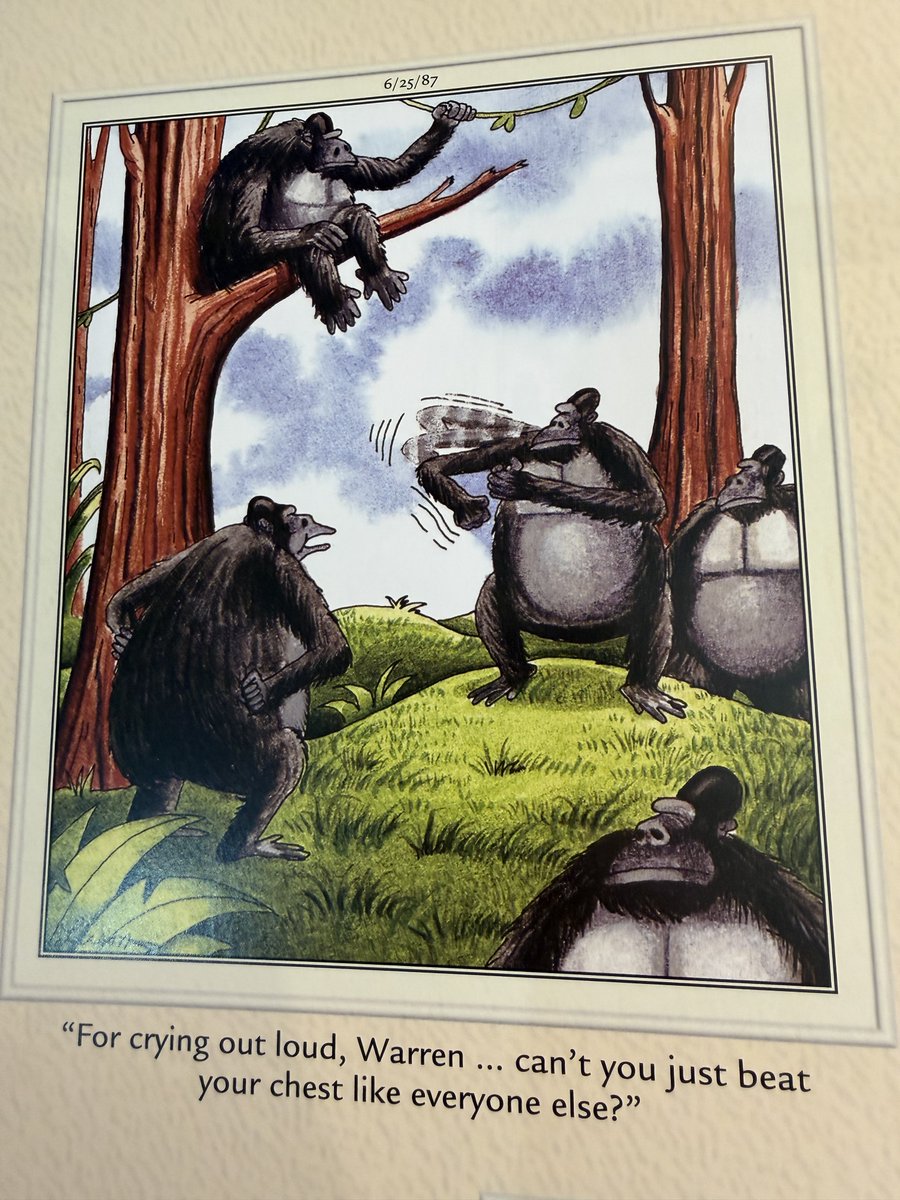 Gillian Flavell tweet media