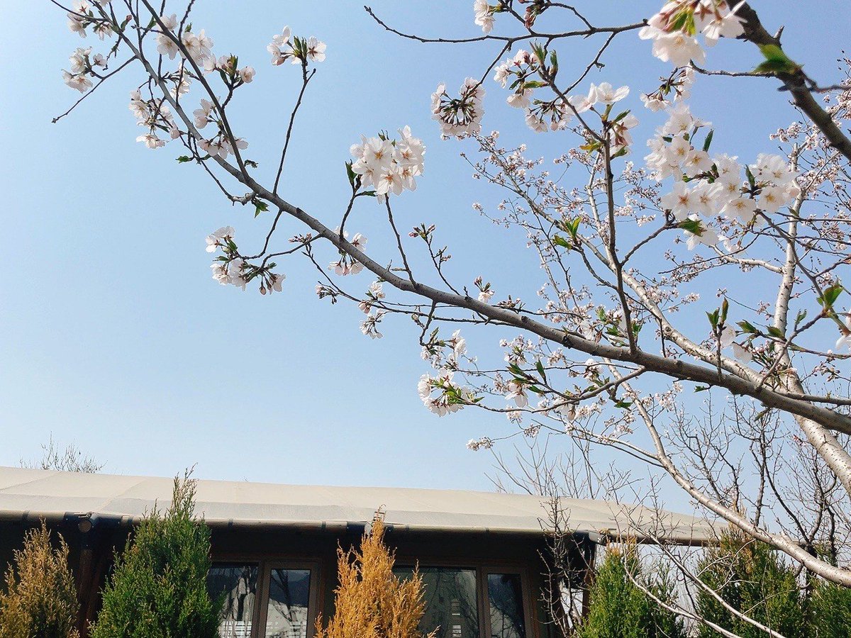 Jenna Baldwin tweet media