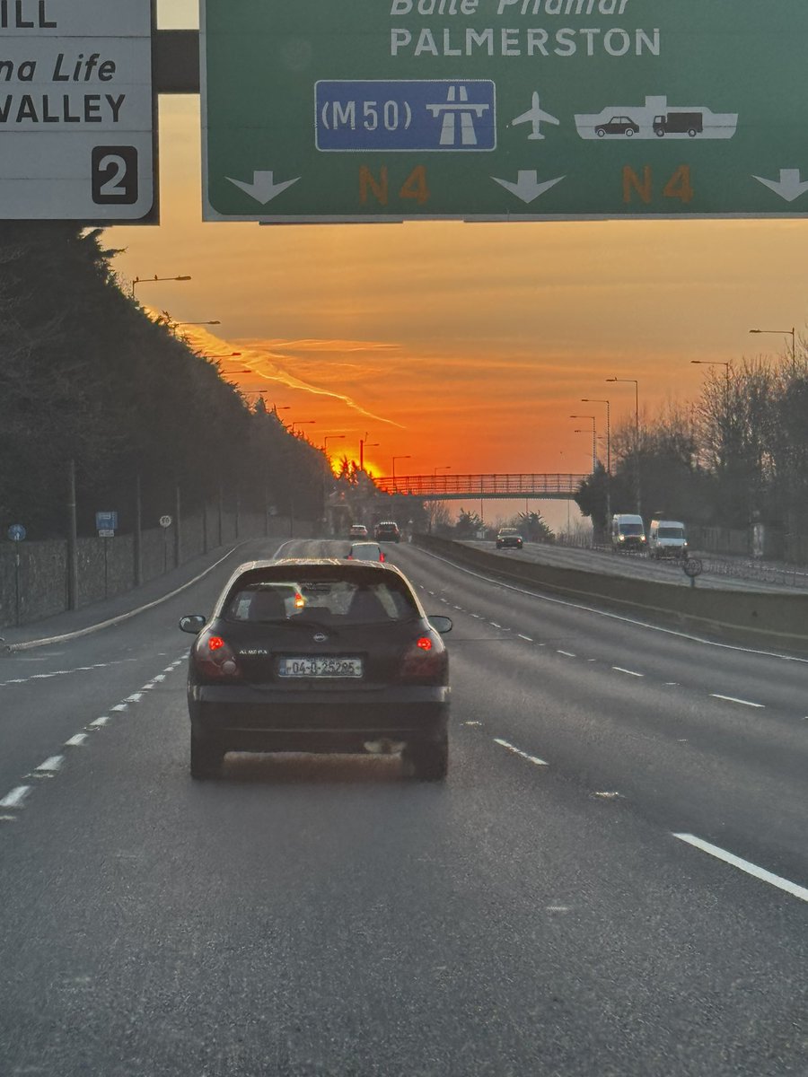 Cillian O Grady (The Flying Canary) tweet media