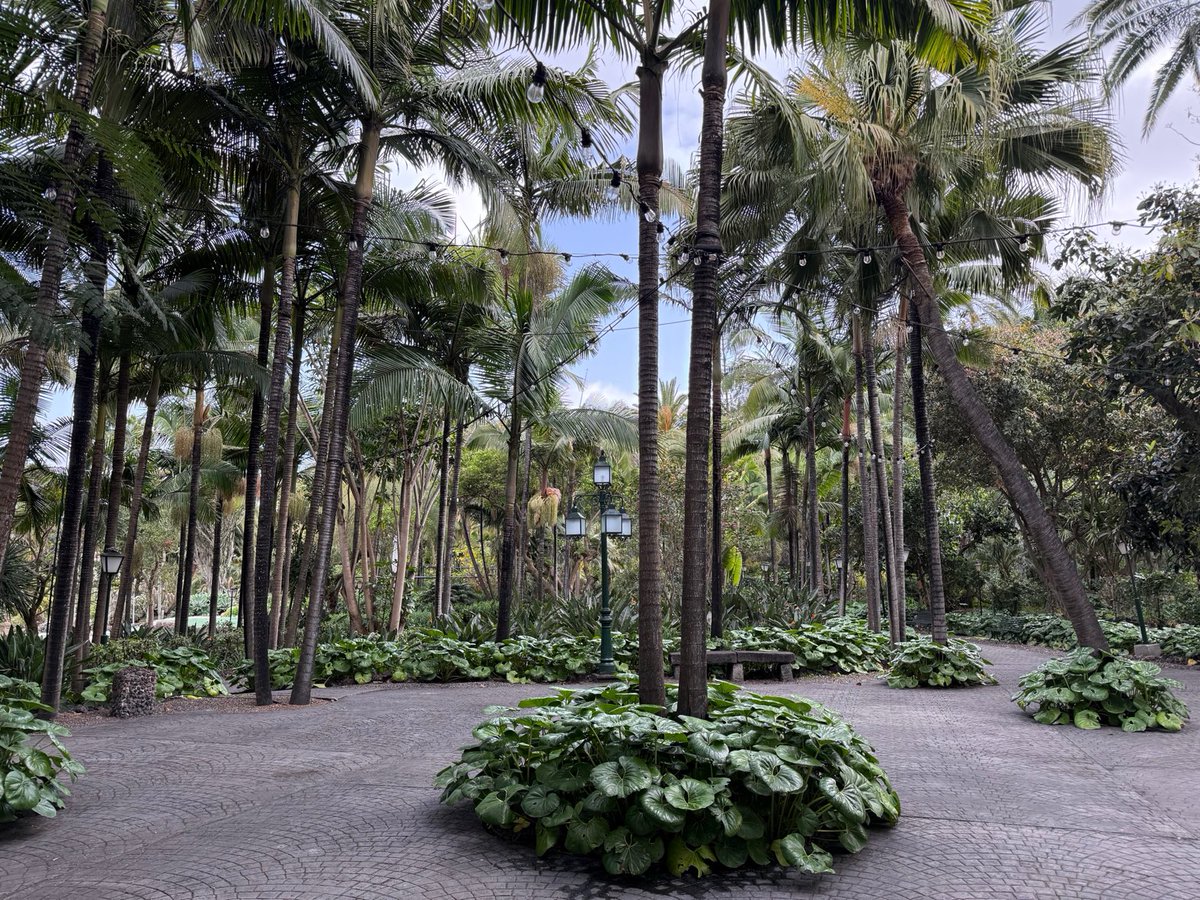 Peter Timmermans tweet media