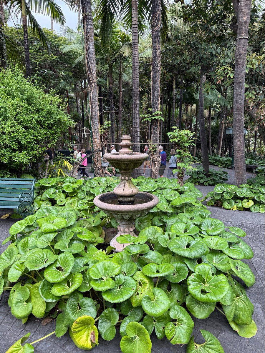 Peter Timmermans tweet media