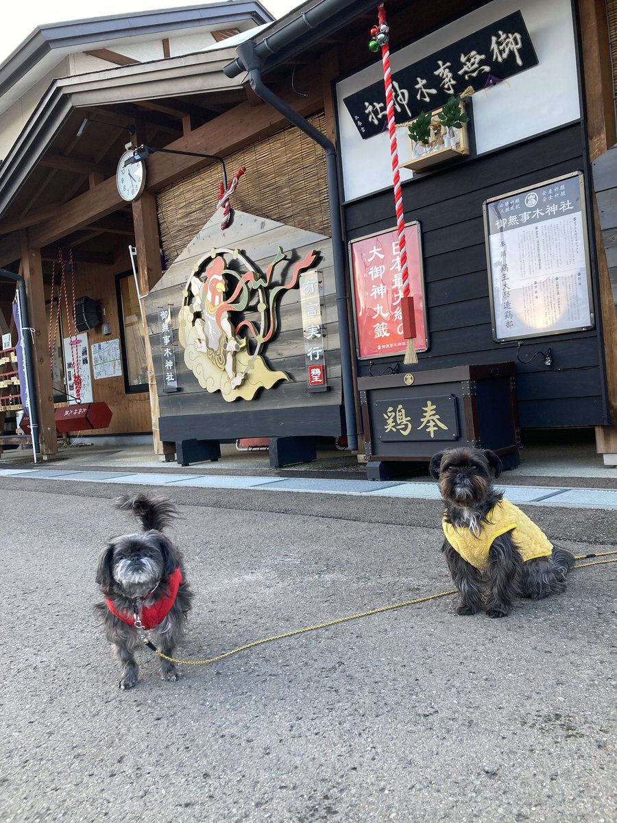 大崎動物病院 の(小) tweet media