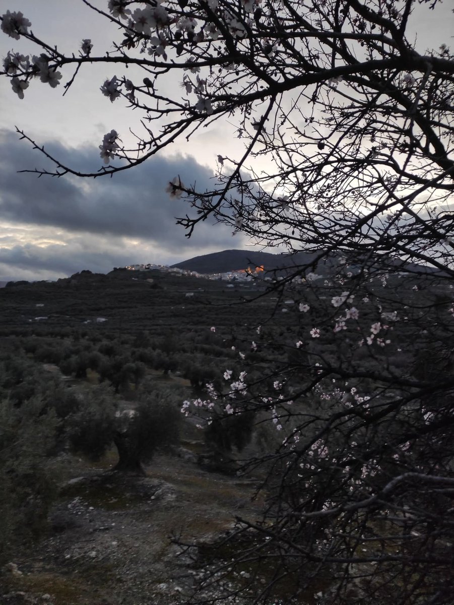 Eduardo Alvarado tweet media