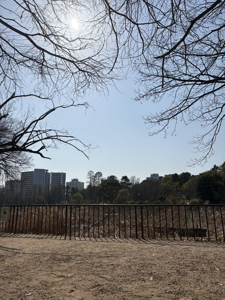 樹リューリ tweet media