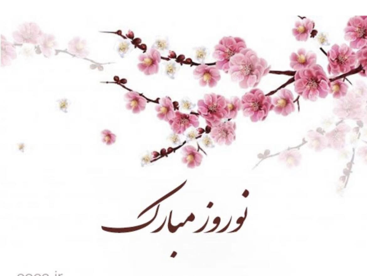 Feson Shokoory tweet media