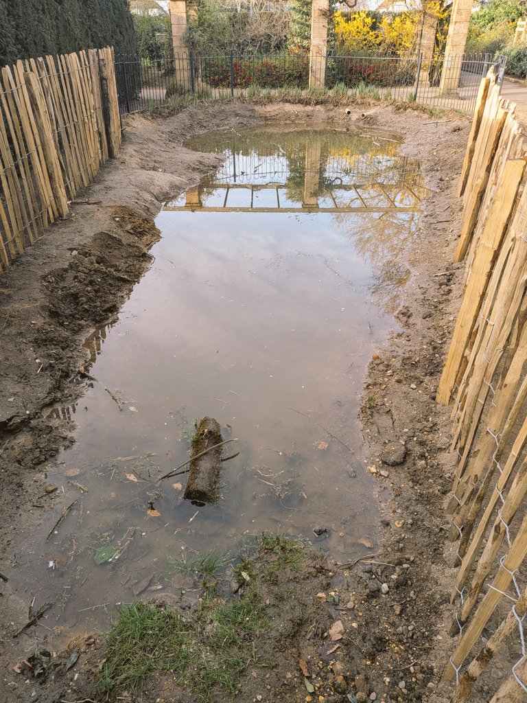 Mark Yeldham tweet media