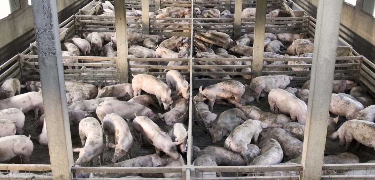 Marc Timme tweet media