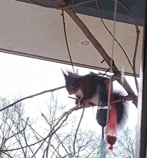 Chouffkat tweet media