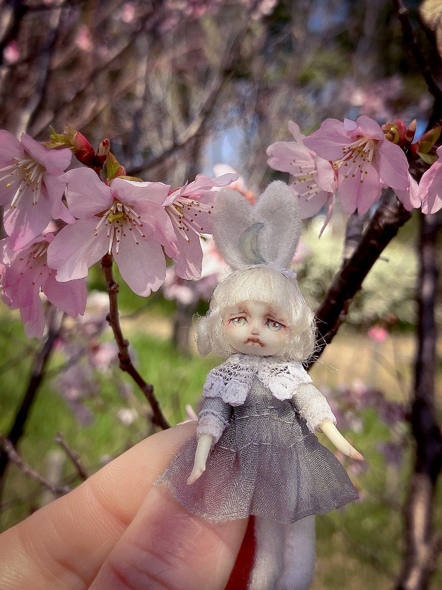 to.ri.co tweet media