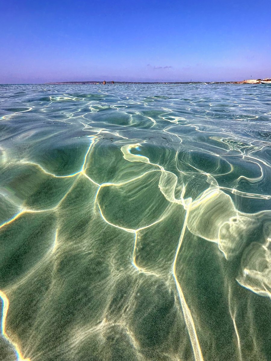 William Hulbert Photography tweet media