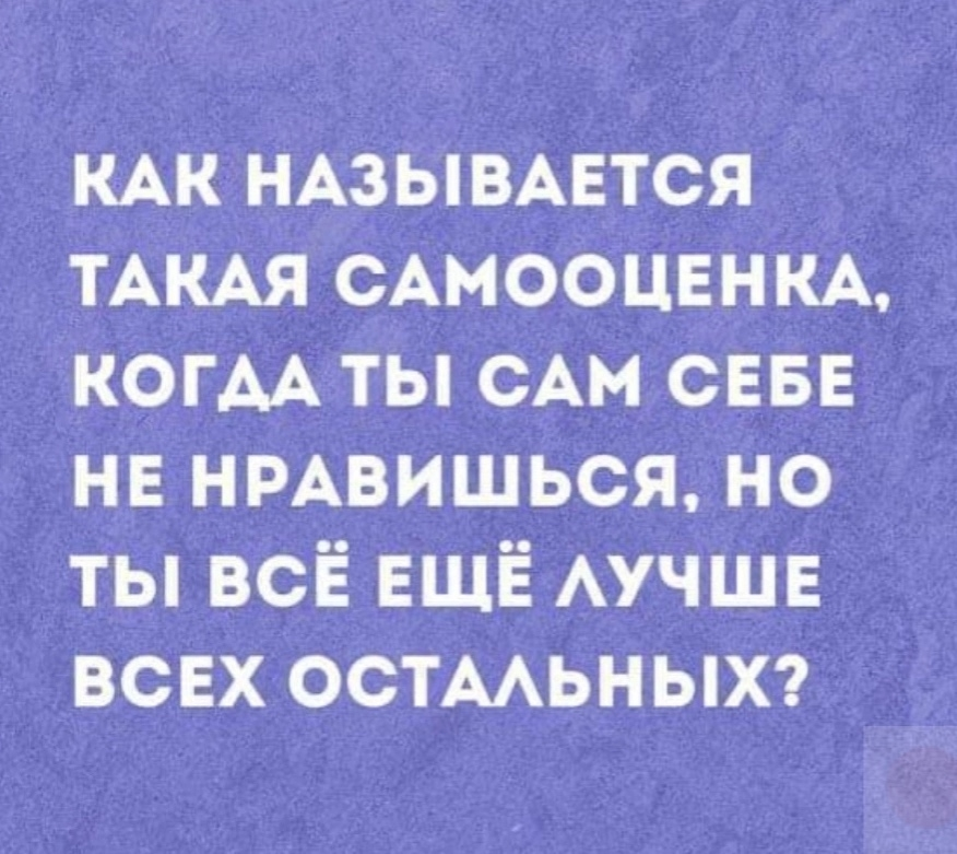 MCMLXXXIV™ tweet media