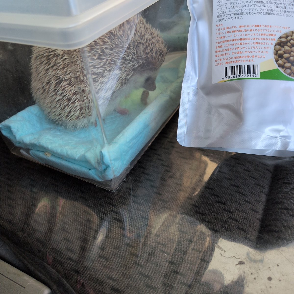 けむけむ (•ಲ•ʔ⋚⋚)و tweet media