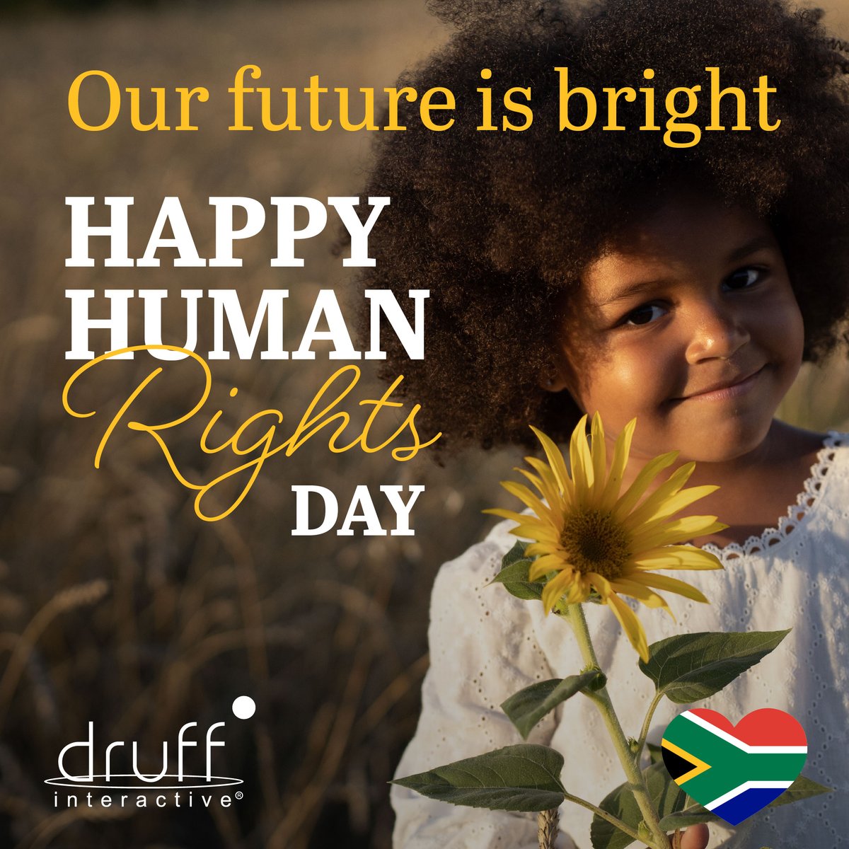 Druff Interactive tweet media