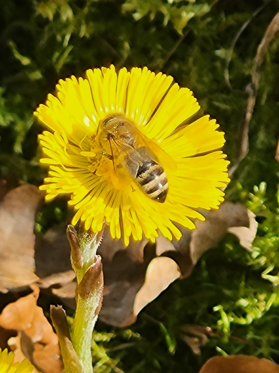 NitramSu tweet media