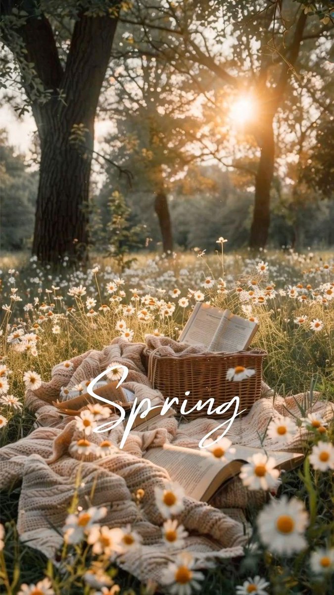 Silviwitch_Books tweet media