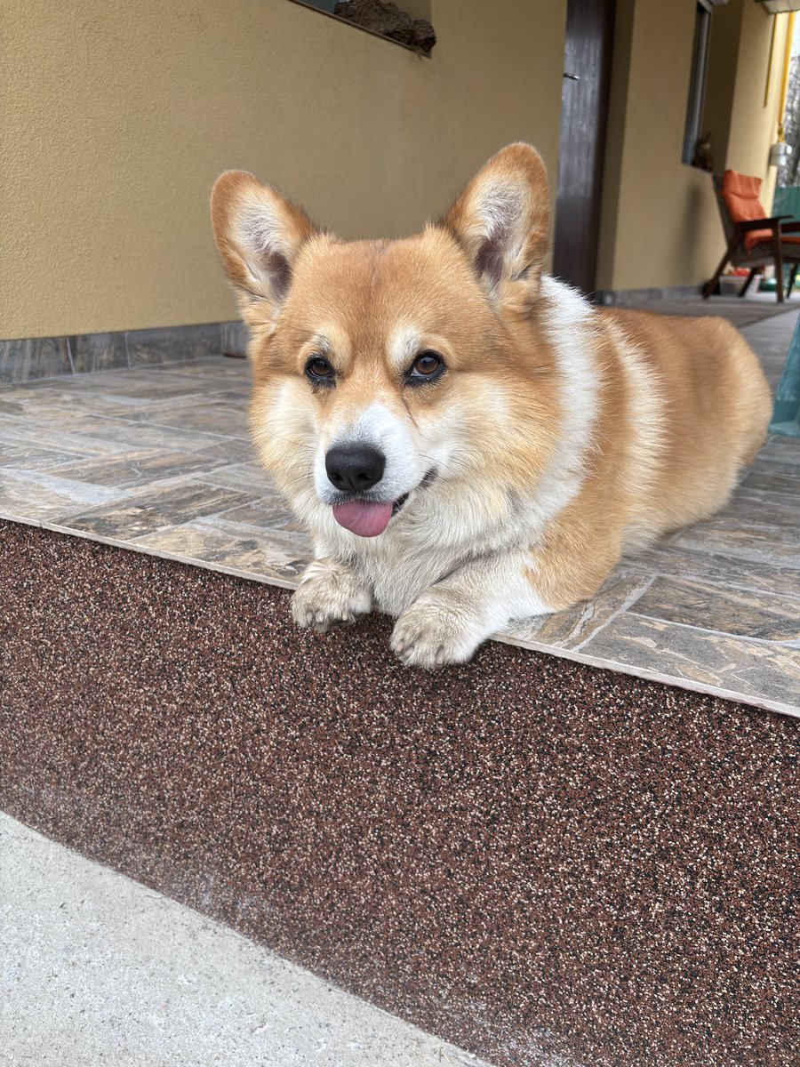 тривожна пані tweet media