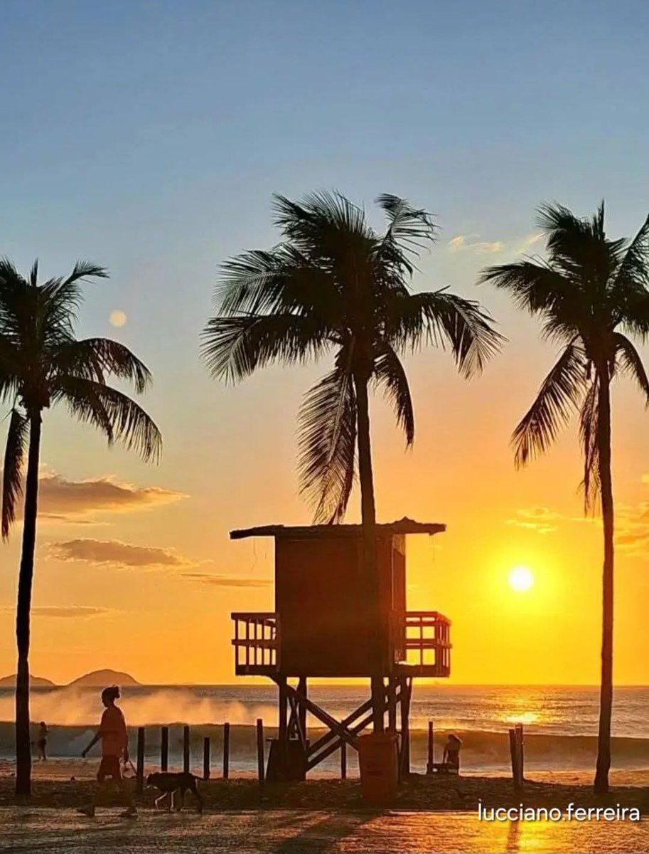 Pelo Mundo #LJSDV tweet media