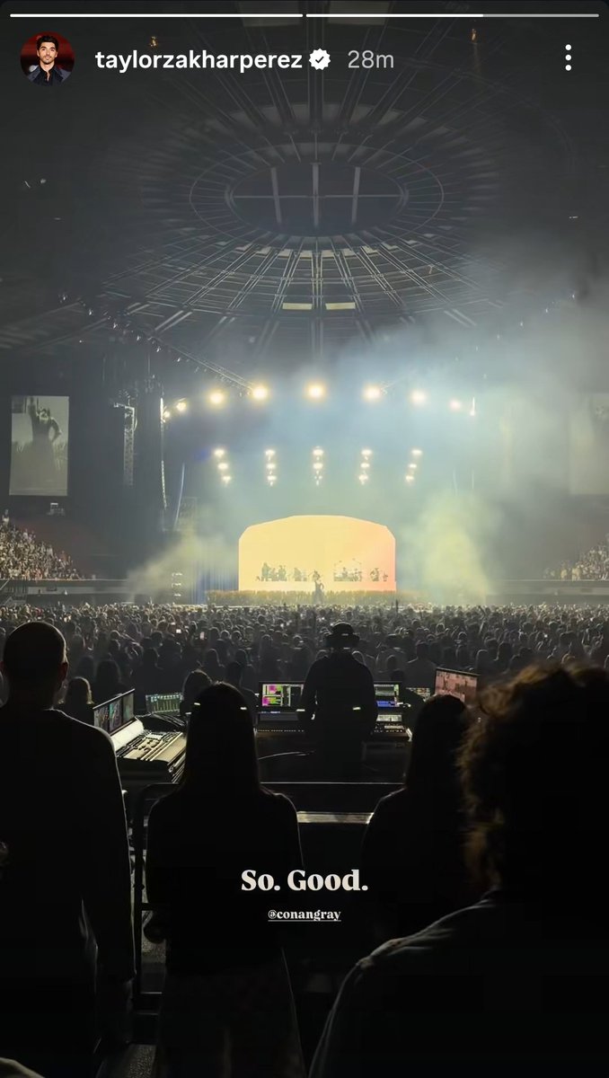 Willow's Pillow tweet media