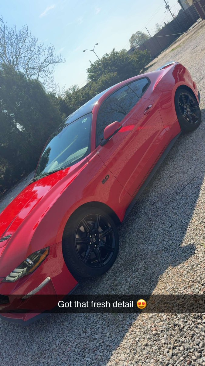 Mallory Potter tweet media