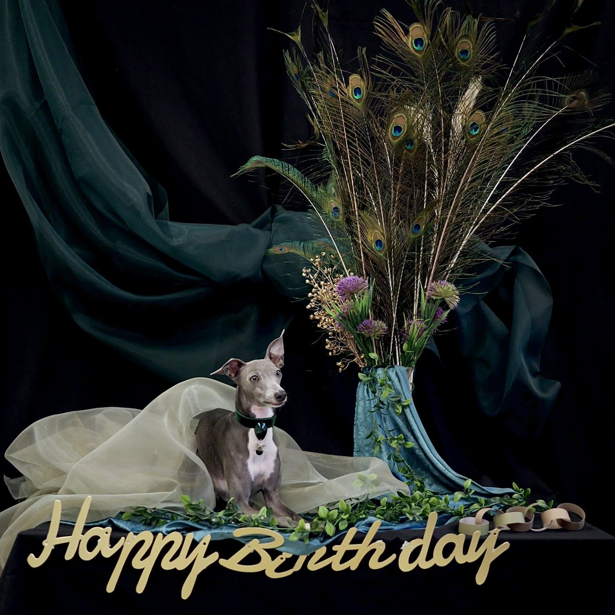 テンまる tweet media