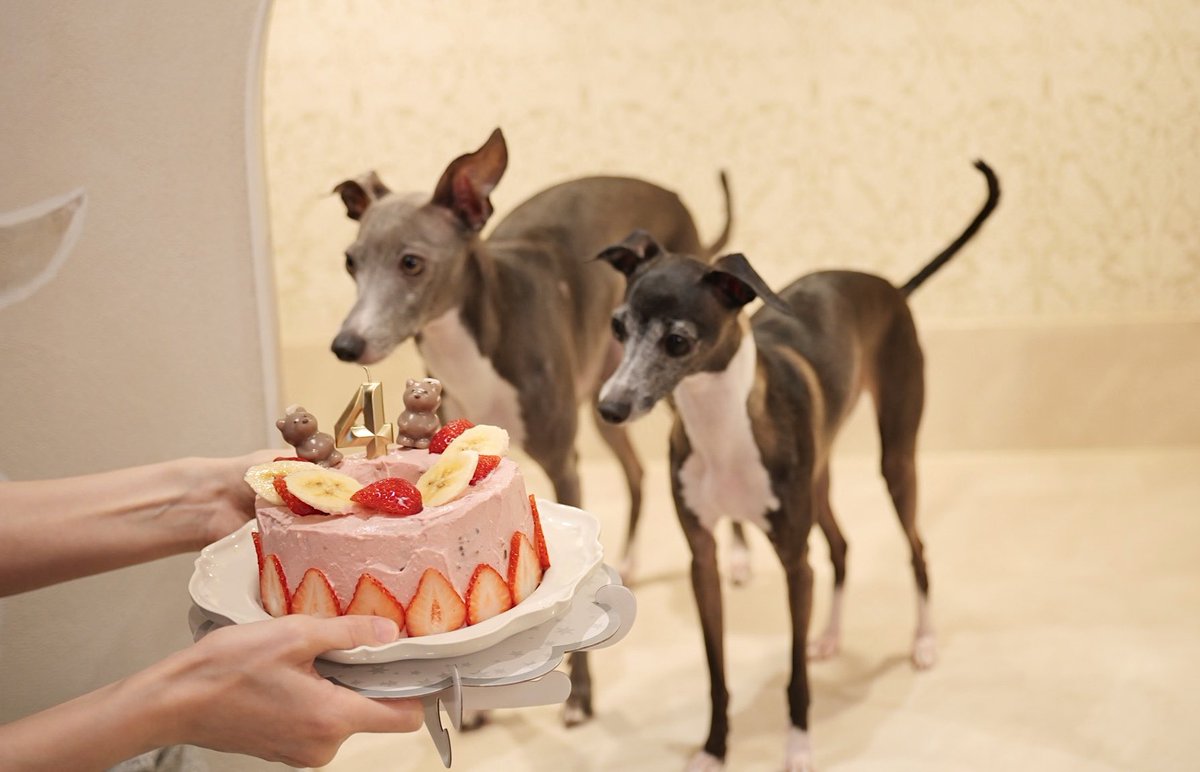 テンまる tweet media