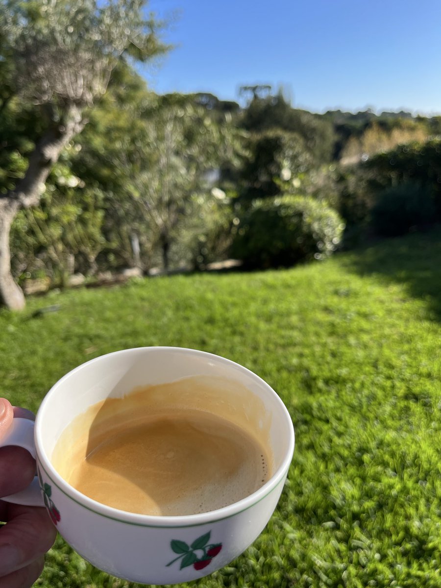 Peregrino tweet media