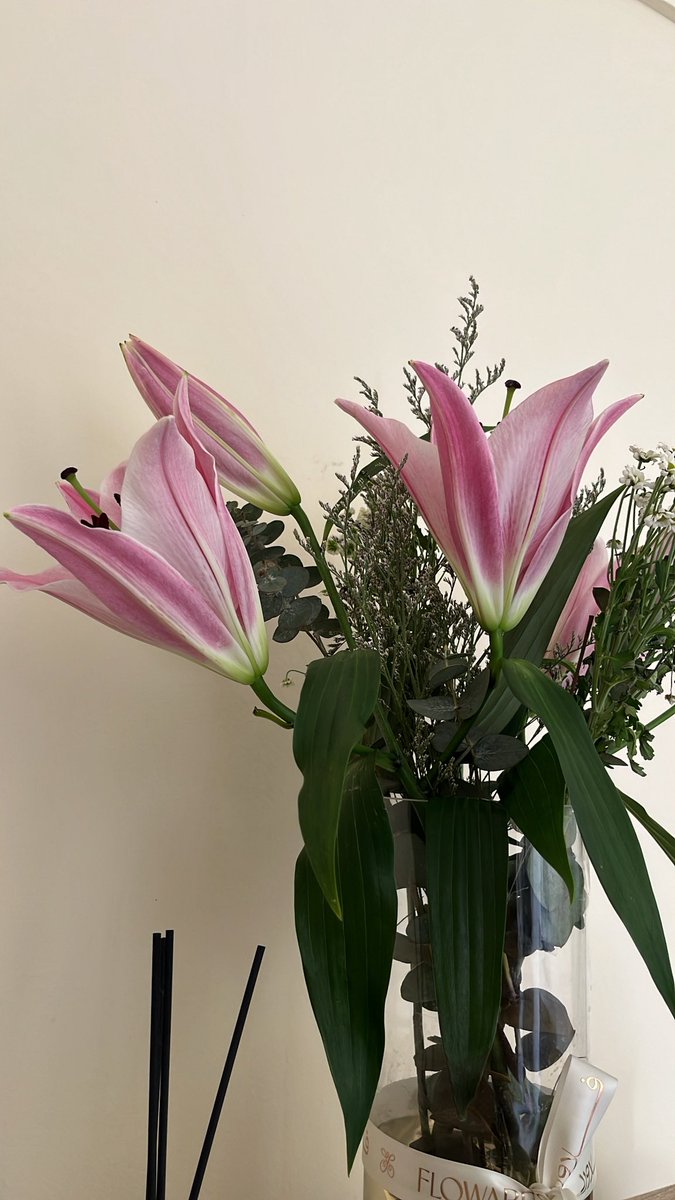 A. Matteo tweet media