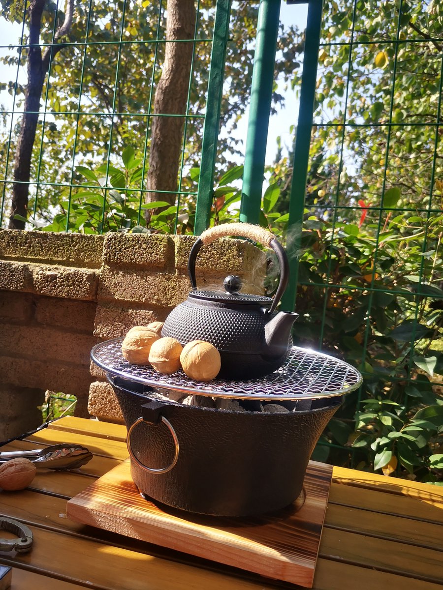 Star Rawls tweet media