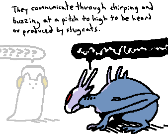 UsedNameTag tweet media