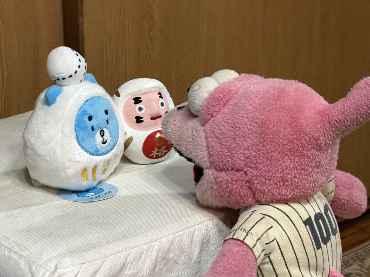 Fighty_bot's tweet photo. 中の人の長男の大学受験が終わりました。無事、第一志望の国立ではありませんが進学先が決まり万々歳といったところです。
合格祈願の白ダルマのご利益があったと言うことで、受験生の方に、えふたんダルマ（白）をお勧めしたいと思います。 https://t.co/Uu5aGjezCj