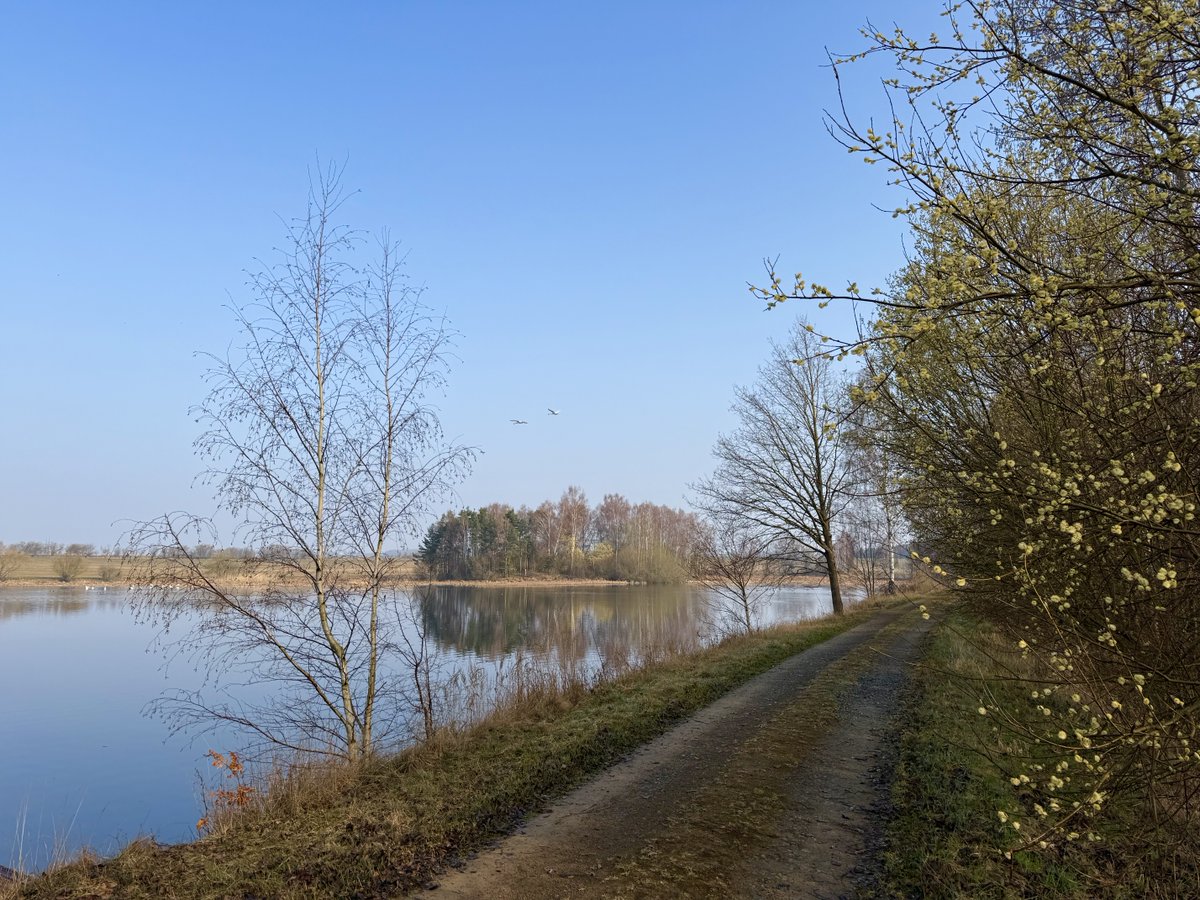 STR_1893 tweet media