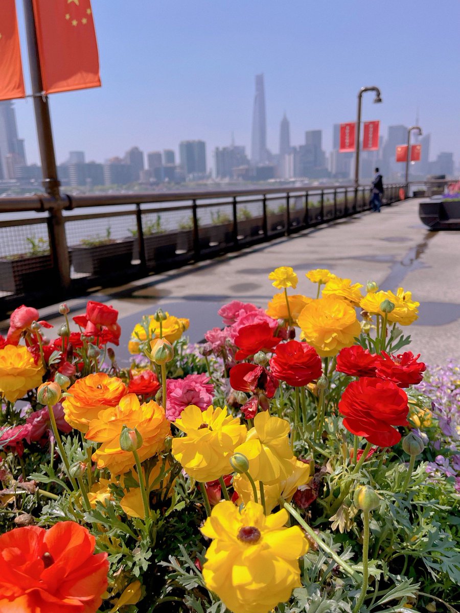 burhan yenerer tweet media