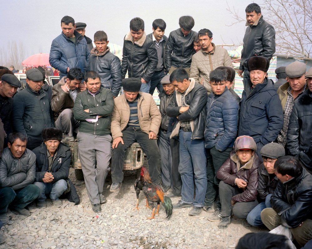 Eye On Axis tweet media