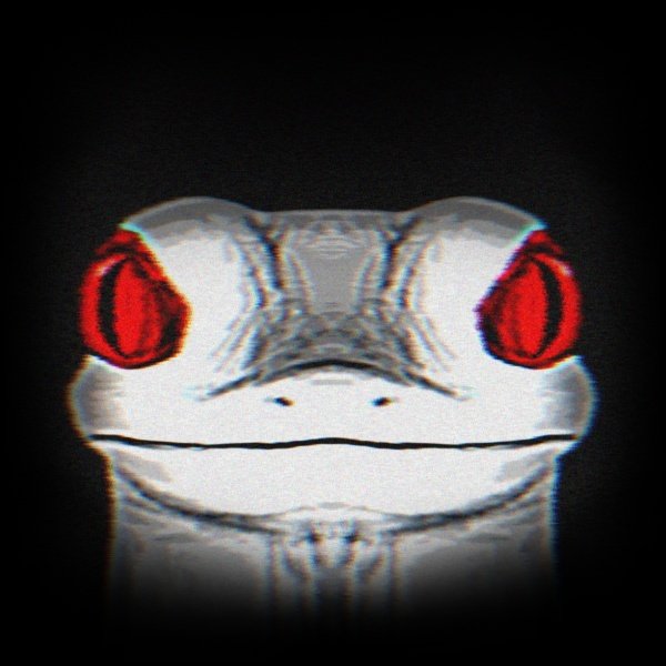 산세베리아(트친소) tweet media