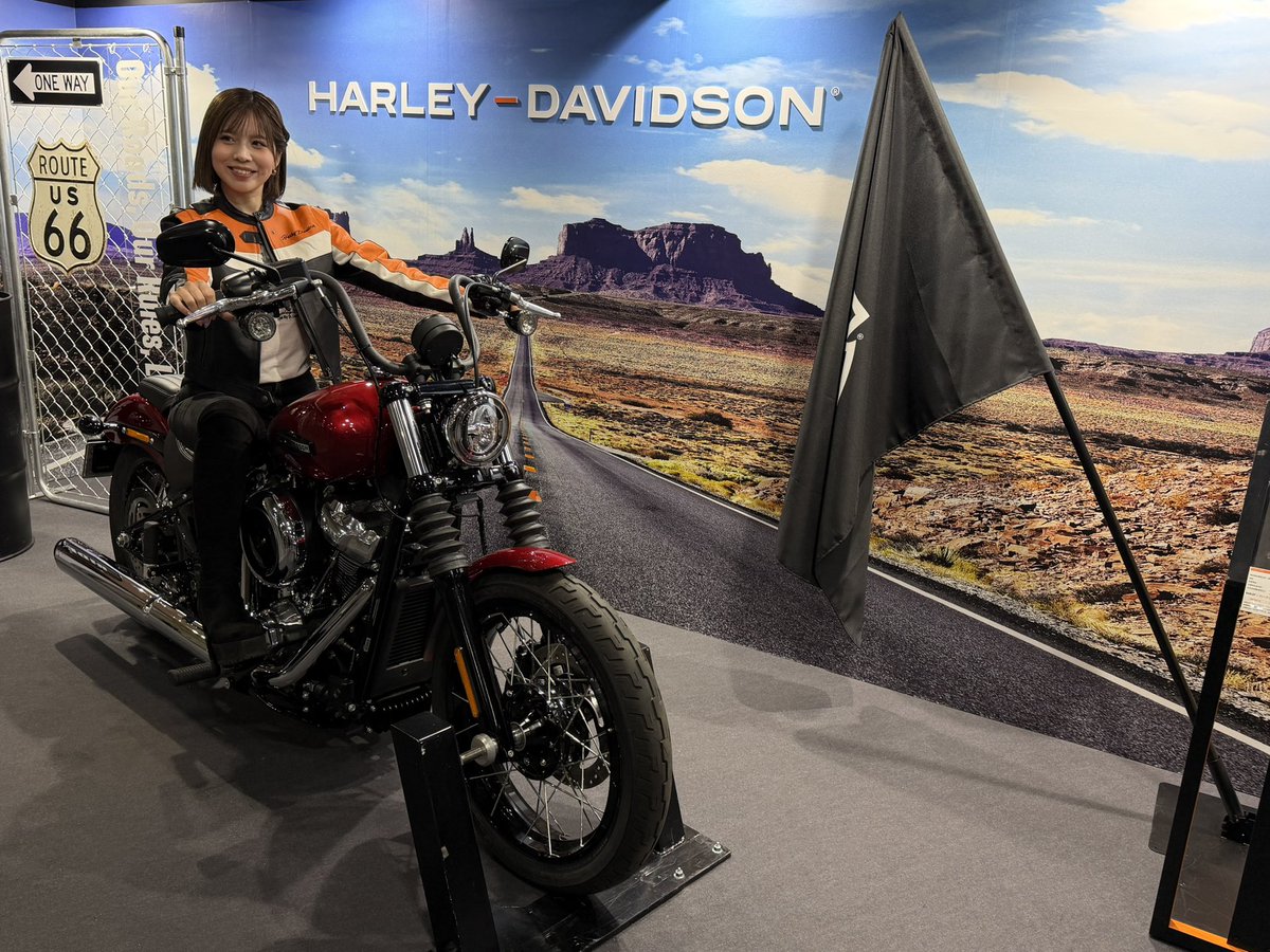 🌻あねご🌻 tweet media