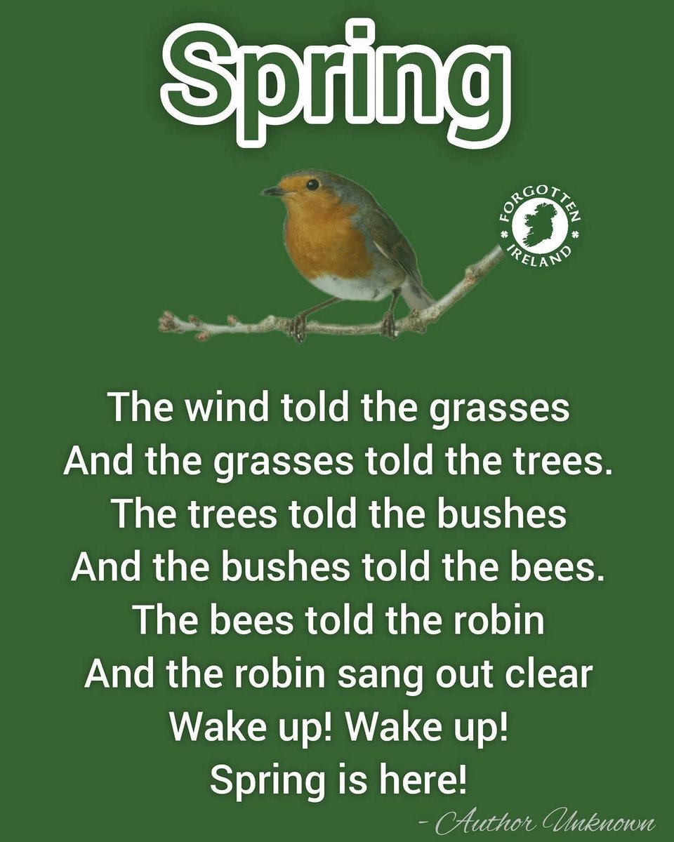Good morning all ☀️ hope you have a sunny Saturday 😊☘️