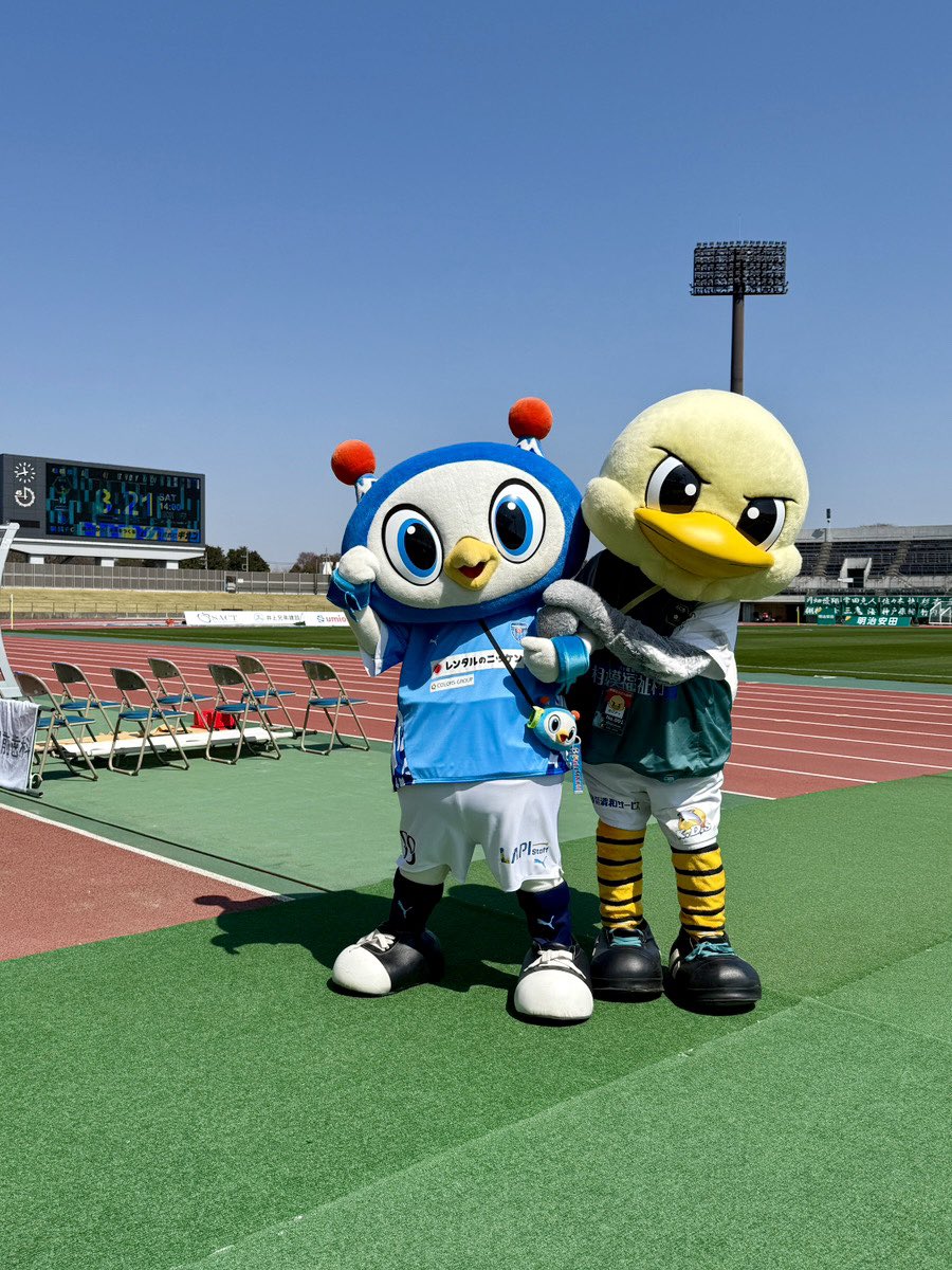 フリ丸 tweet media