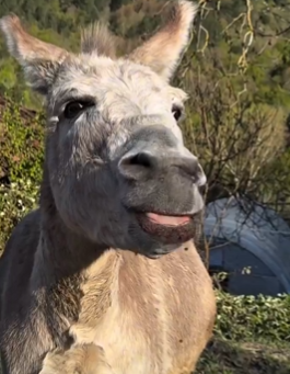 TheoFlipLife tweet media