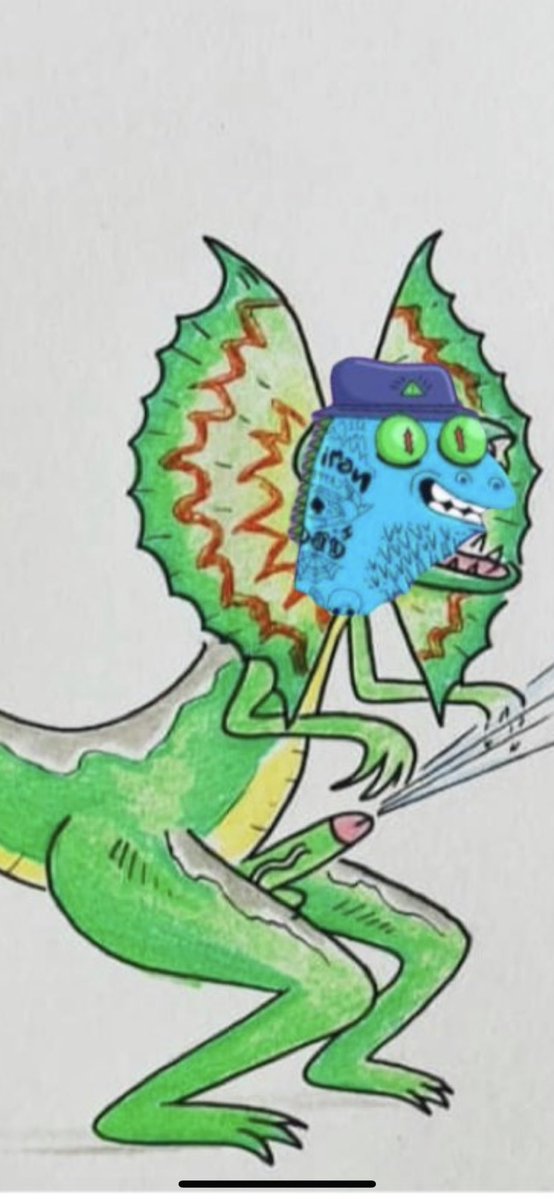 ACEHONDO tweet media