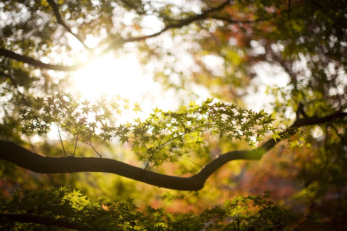 Bryan Lee tweet media