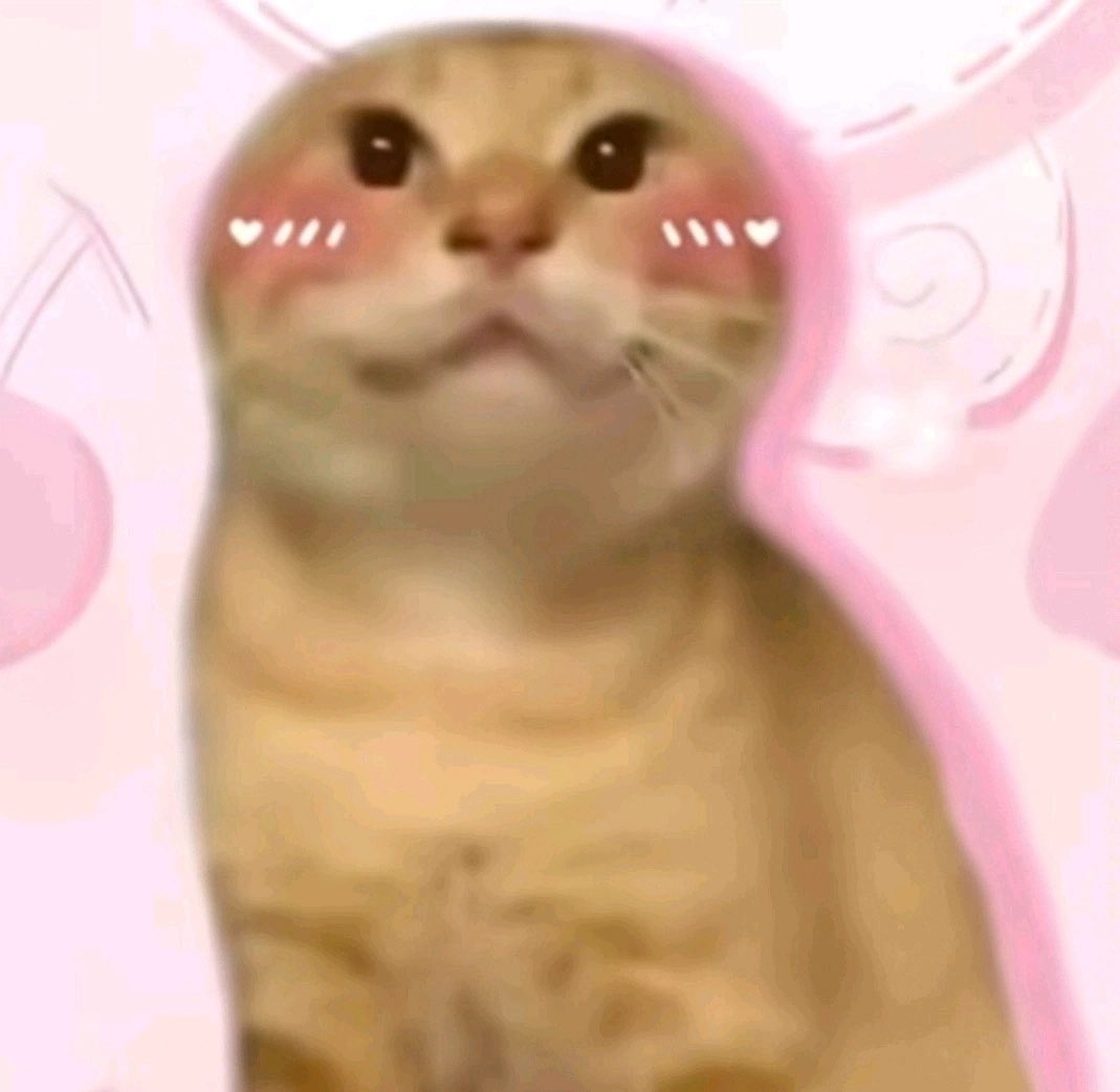 Fly Over tweet media