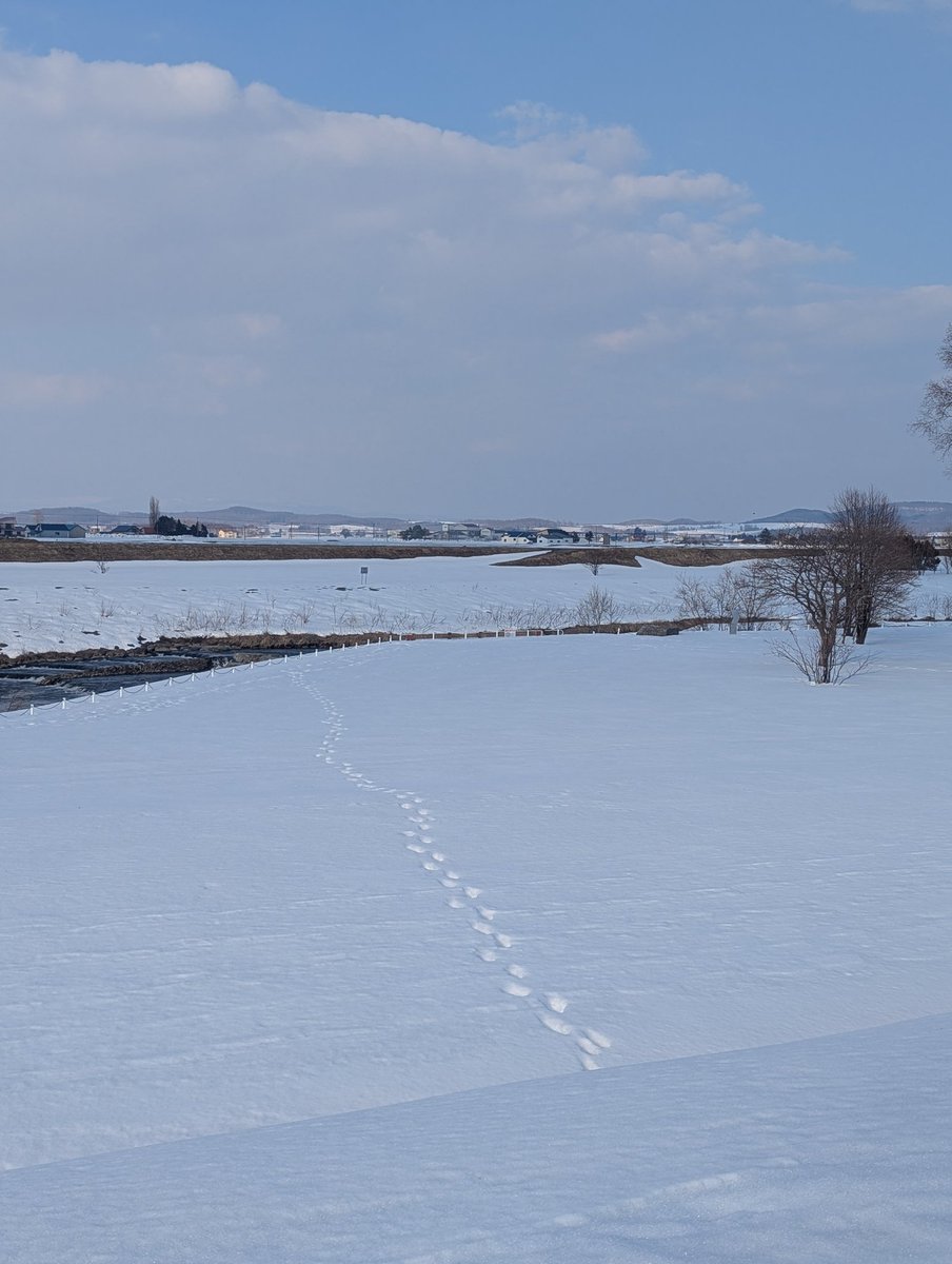 あじゅ tweet media