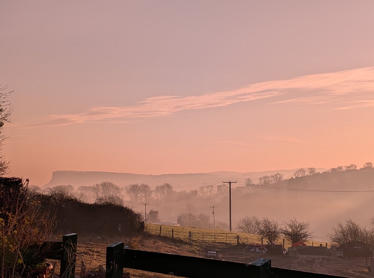 Anne Kelly ⛔NO DMs⛔ unless I know or follow you. tweet media