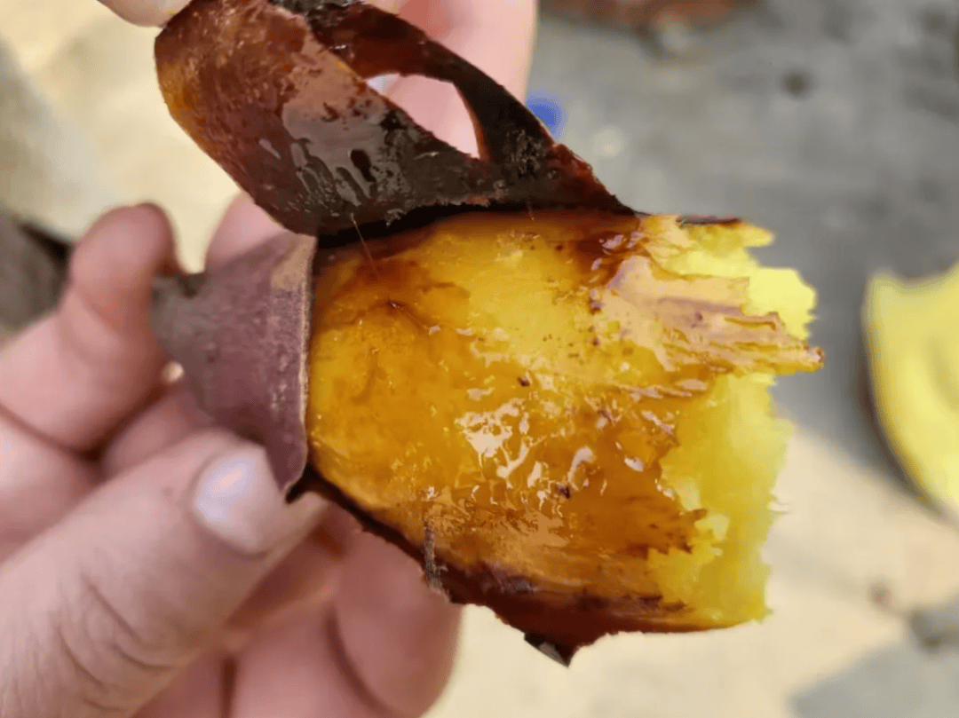 amy jeanfreau tweet media