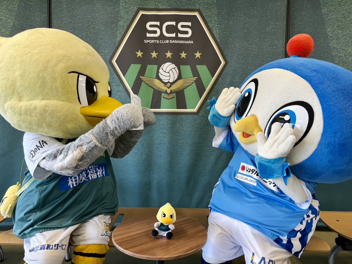 フリ丸 tweet media