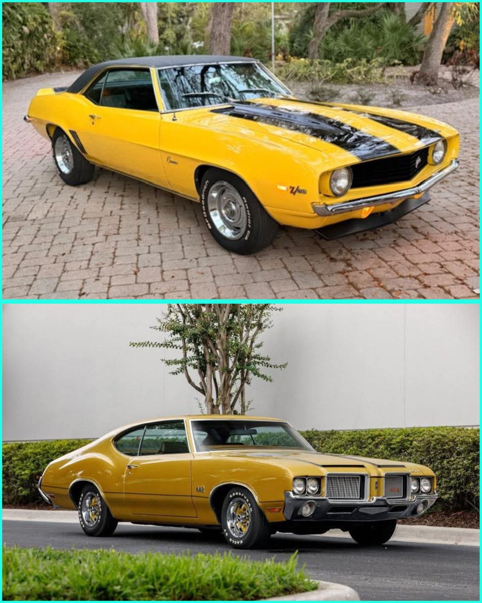 Classic Car Logic tweet media