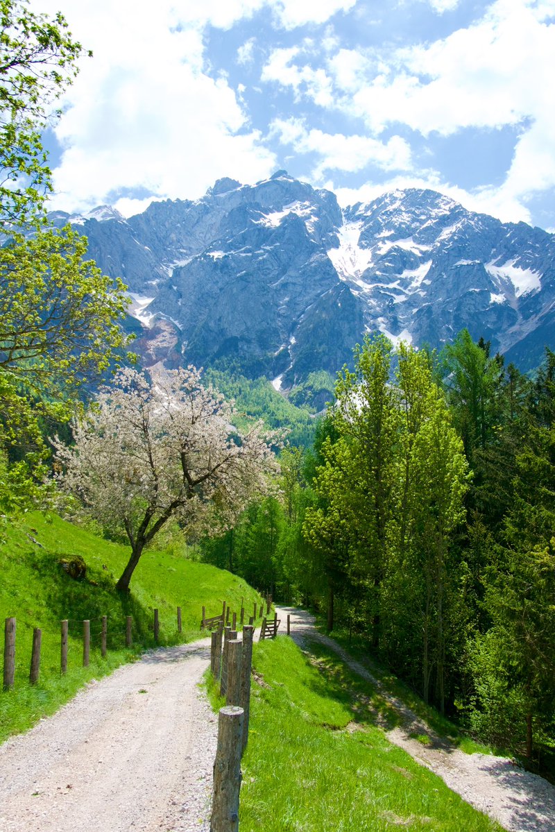 Exploring Slovenia tweet media