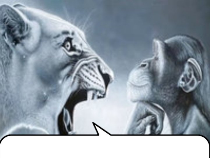 POLO SUPREME 🇲🇾❤🇺🇦🇵🇸 i hate Ai Bros 🖕🚫🤖 tweet media