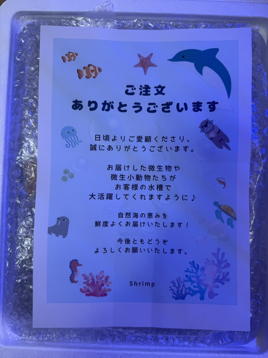 コツコツ24 tweet media