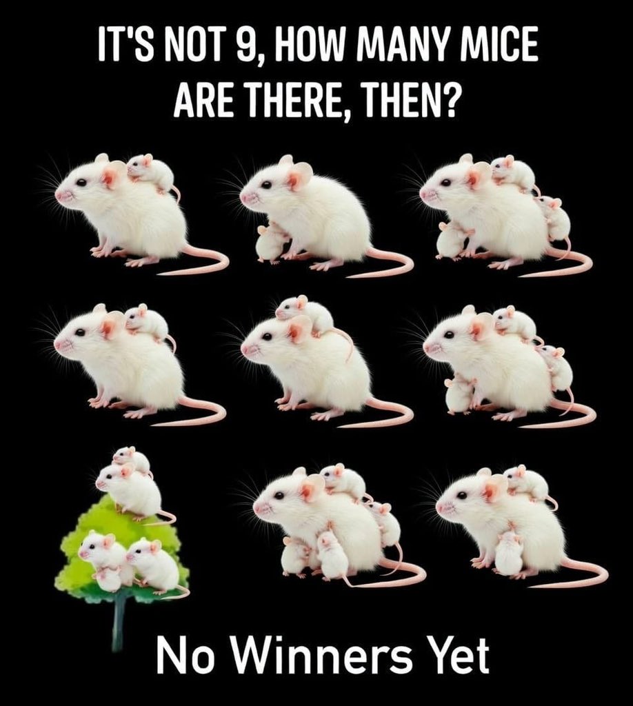 Part 2 just dropped — Harder Level 👀

How many mice are there? 🤔

Winner gets $3,000 💰